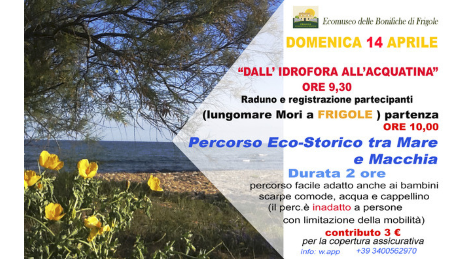 dall'idrofora all'acquatina, Frigole