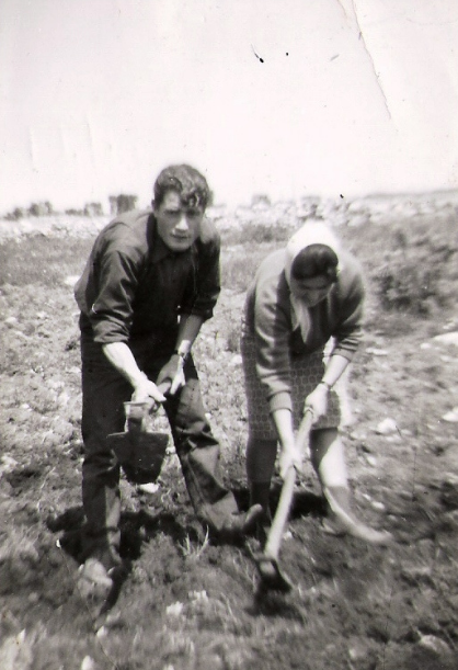 la vita in campagna