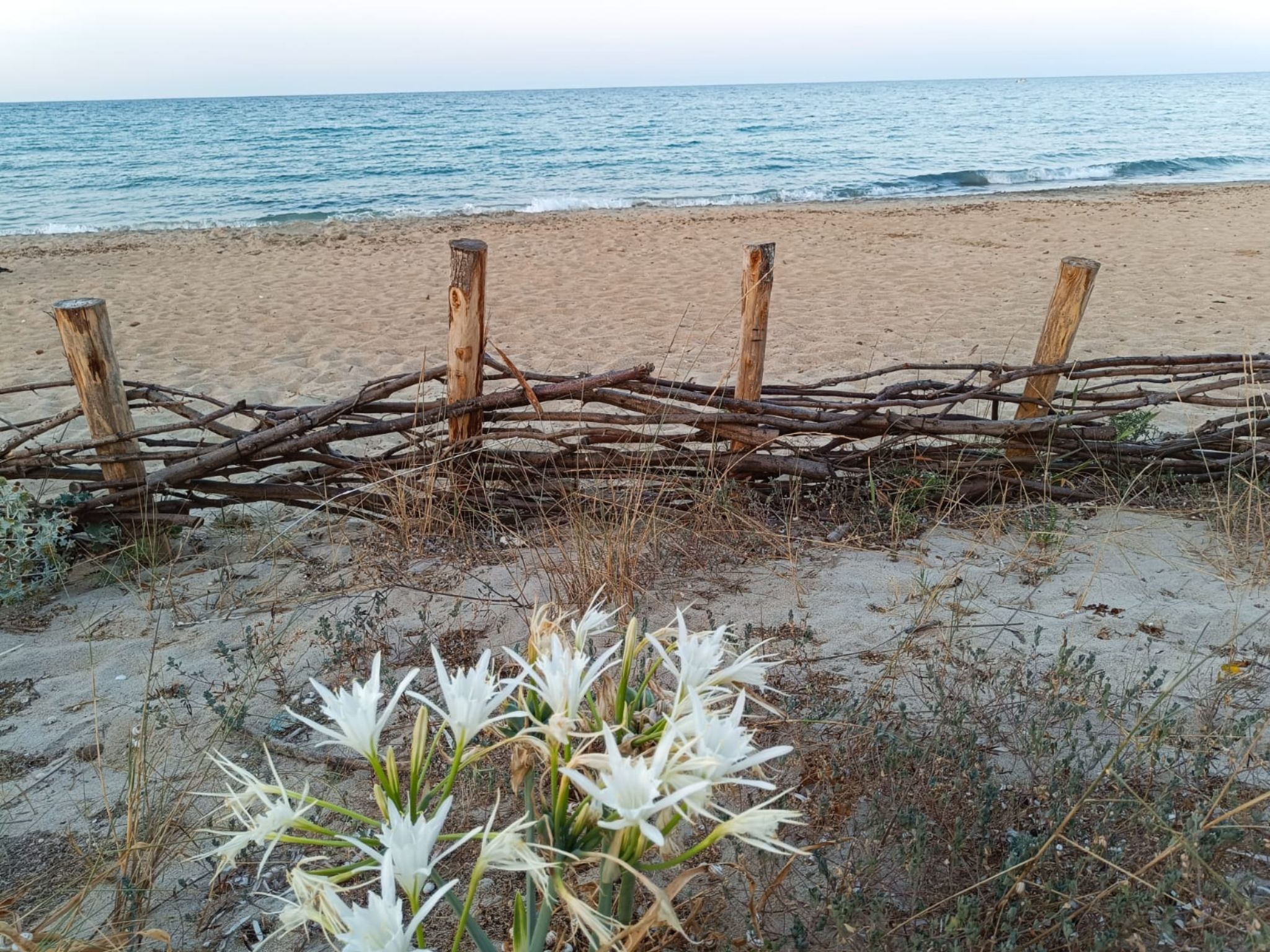 Spiaggia libera tra il bacino di Acquatina e il mare