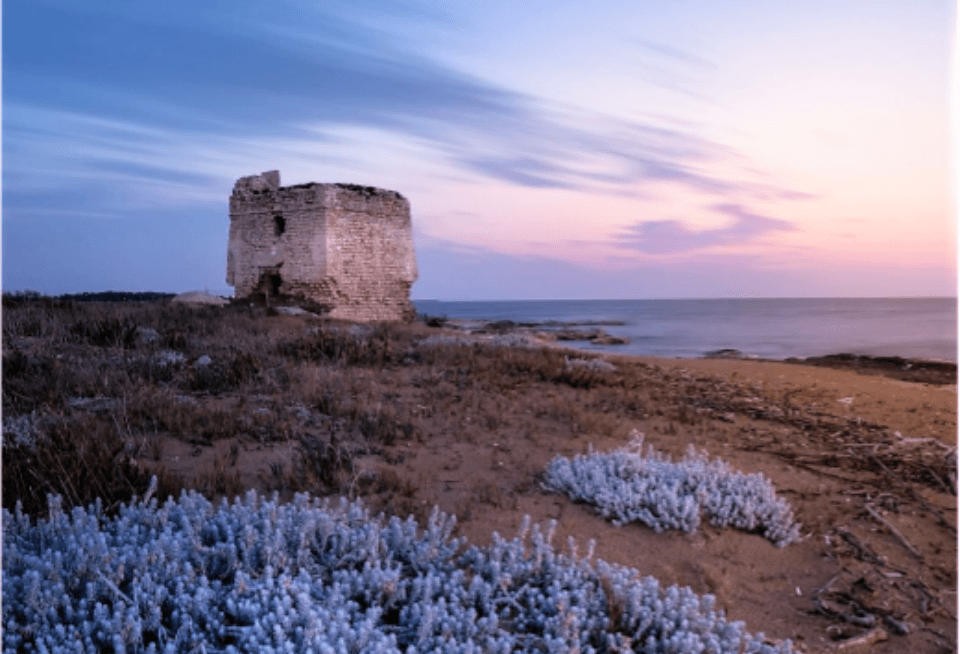 PASSEGGIATA ALLA SCOPERTA DI TORRE VENERI